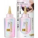 Kao Essential The Beauty Hair Texture Water Treatment