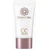 Perfect One All-in-One Foundation CC Cream