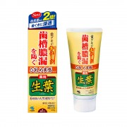 pasta do zebow  Kobayashi Shoyo Special Care Toothpaste Gum Treatment