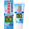Kobayashi Shoyo Soothing Type Anti-Gingivitis Medicated Toothpaste