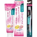 LION Systema Haguki Plus Toothpaste +Toothbrush