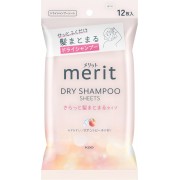 Kao Merit Dry Shampoo Sheets Smooth and Hold Your Hair