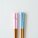 Chopsticks Sunlife 264369 Natural Wood Panda Blue