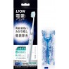 Lion Electric Assist Brush