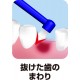 Ebis Premium Care Point Brush